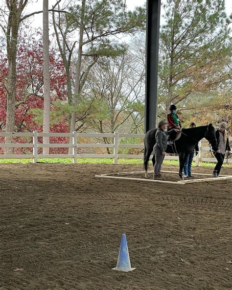 Chastain Horse Park added a new... - Chastain Horse Park