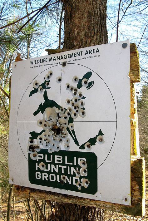 Public Hunting Grounds