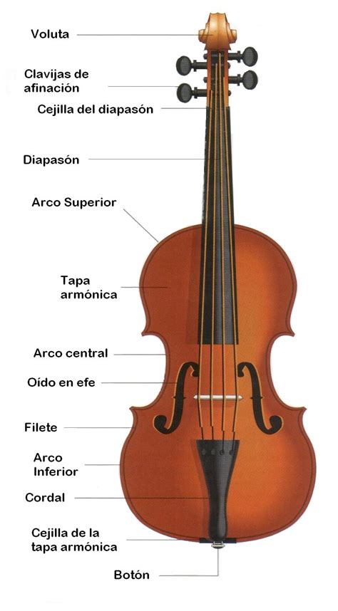 Aprende Violonchelo Descripción Del Violonchelo