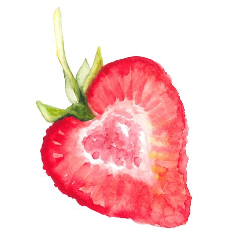 Berry Delight Clipart, Berry Clipart, Watercolor Clipart, Capcake ...