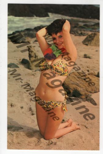 Brunette Bikini Model X Vintage Postcard Sexy Cheesecake Risqu Pinup Pq Ebay