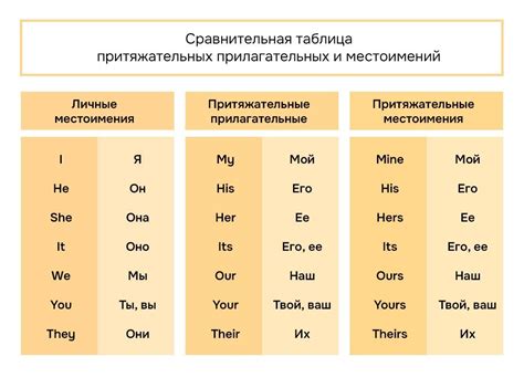 Как правильно использовать притяжательные прилагательные и местоимения ...