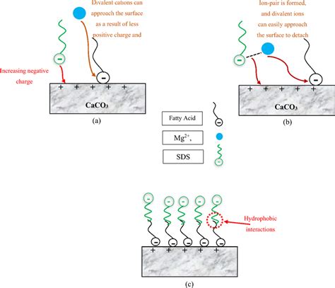 Proposed Mechanism Of Wettability Alteration By SW SDS A Inducing