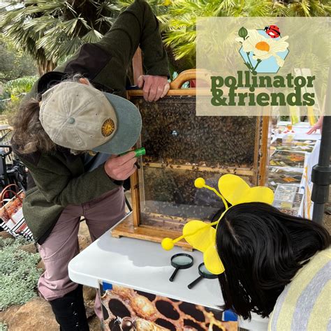 Pollinator Friends Day Free With Garden Admission The Ruth