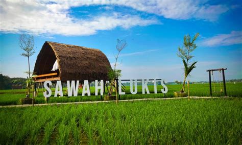 Sawah Lukis Objek Wisata Hits Dengan Hamparan Persawahan Nan Hijau Di