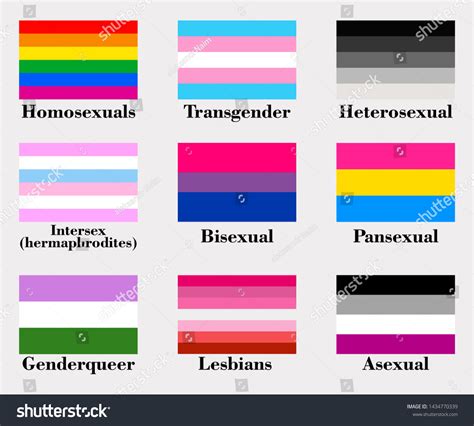 Gender Flags On White Background Vector Stock Vector (Royalty Free) 1434770339