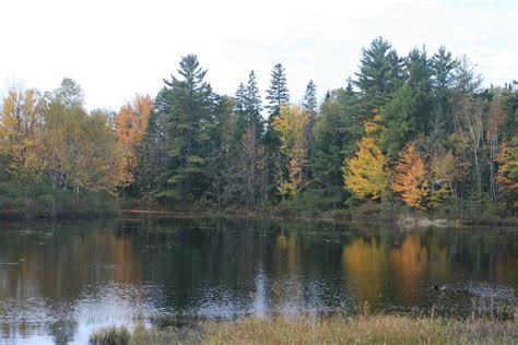 Fall Foliage New Hampshire Milan New Hampshire Jjwpix Flickr