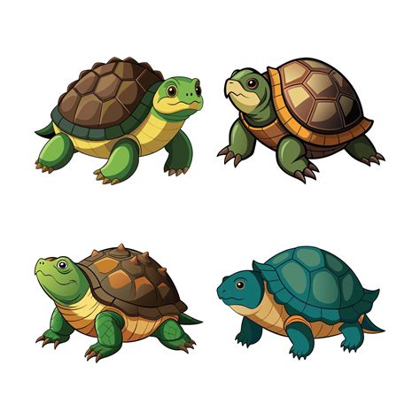 Set ofRealistic Common Musk Turtle and Wildlife Art 57803760 Vector Art