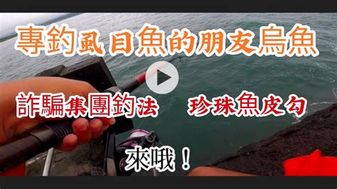 （第58集）珍珠魚皮勾詐騙集團釣法釣魚最簡單釣法可到處詐騙 Youtube