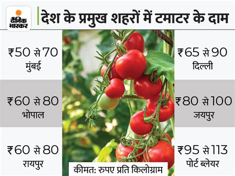 Tomato Prices Will Not Decrease For Two Months The Reason For More