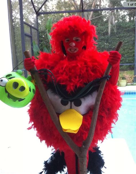 Angry Birds costume! | Angry birds halloween costume, Angry birds ...