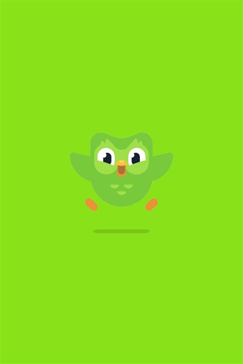 Duolingo Wallpapers Top Free Duolingo Backgrounds WallpaperAccess