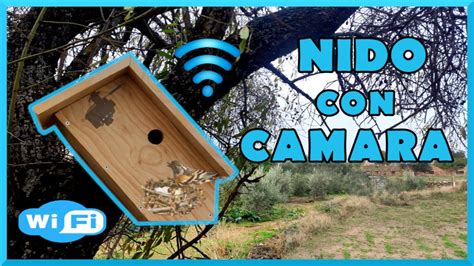 🐦como Hacer Un Nido Para Pajaros Con Camara Wifi Planos Gratis 🐦 Youtube