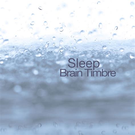 Sleep Single By Brain Timbre Spotify