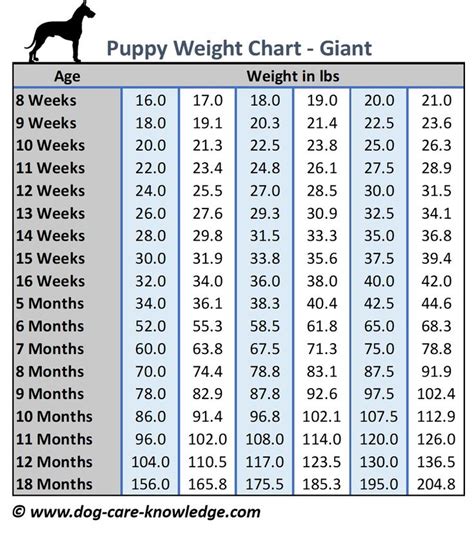 Lab Puppy Growth Chart By Week