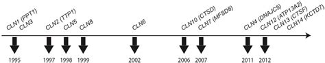 Figure 1 From Moving Towards A New Era Of Genomics In The Neuronal