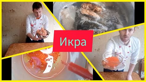 КРАСНАЯ ИКРА ЗА КОПЕЙКИ ИЗ СЕМГИ! - YouTube
