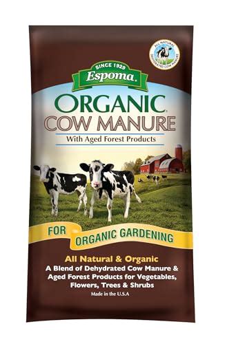 I Tested Bagged Cow Manure For My Garden And Heres Why You Should Too