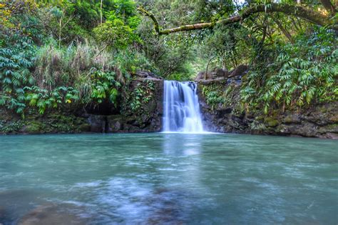 Road To Hana Private Tour Hawaii Real Nature Tours