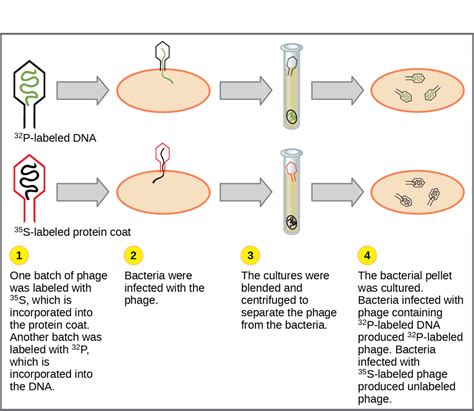 Historical Basis Of Modern Understanding Biology 2e Part I 2nd Edition