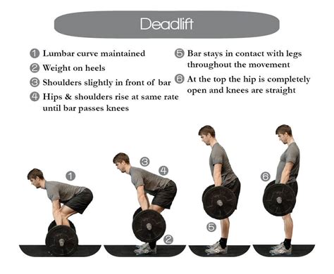 Learn proper Deadlift form to build strength through our animated gif series