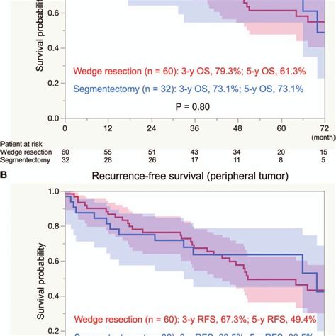 A Os And B Rfs Following Wedge Resection Or Segmentectomy In