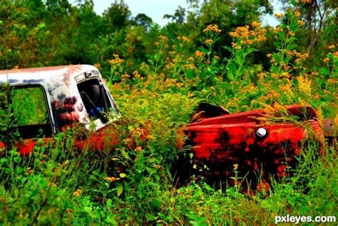 Overgrown And Overrun Photography Contests Overgrown Nature Images