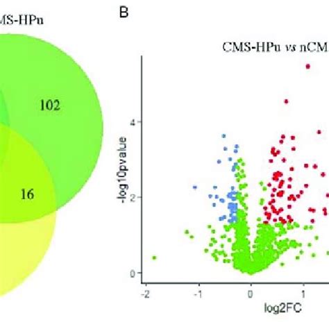 Venn And Volcano Plot Analysis Of The Differentially Expressed Proteins