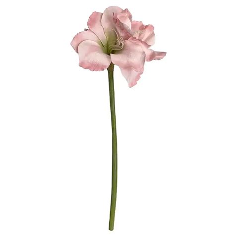 Buy Amaryllis Fersken 99cm Kunstig Blomst