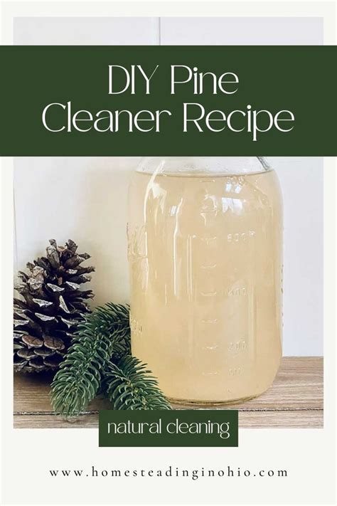 How To Make Pine Needle Vinegar For Cleaning Diy Homemade Recipe Easy