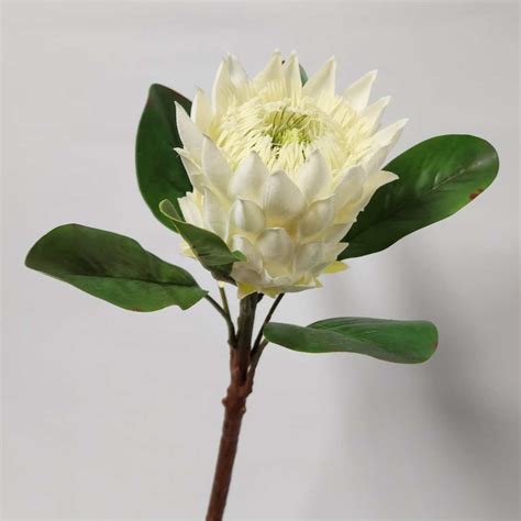 Artificial King Protea Charlie White 52cm Desflora