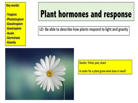 Mr Science Teaching Resources Tes