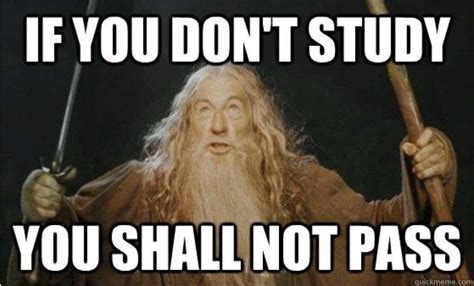 Use Memes In Quizzes Help Center