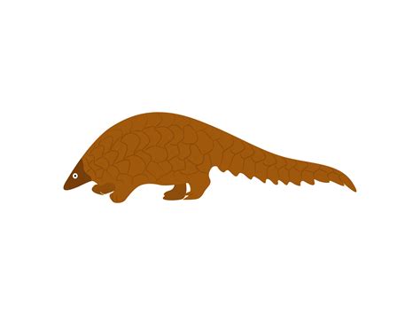 Pangolin Animal Graphic by archshapeCreative Fabrica