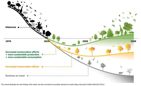 Biodiversity - Biodiversity of Our World