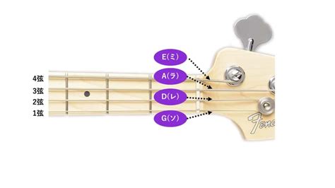 チューニングを理解しよう【ベース初心者のための知識“キホンのキ”】第3回 ベース・マガジン