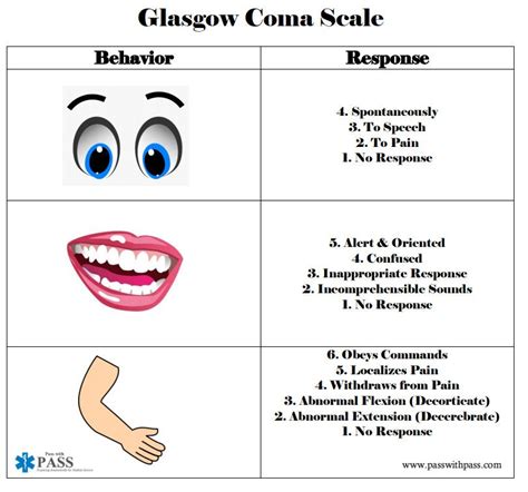 Glasgow Coma Scale Gcs Made Easy For Occupational Therapy 59 Off