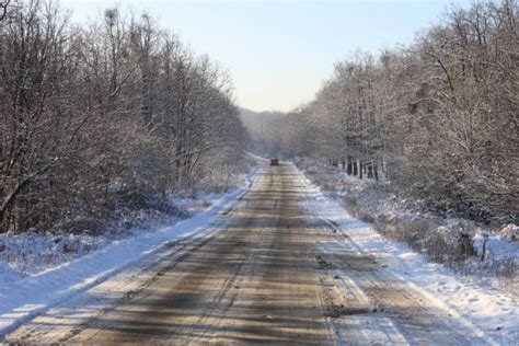 Free Images Landscape Tree Nature Forest Snow Cold Winter Wood