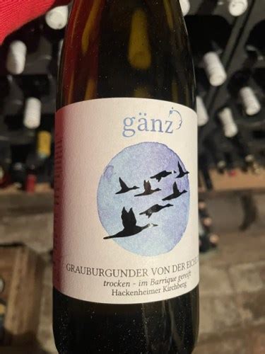 G Nz Hackenheimer Kirchberg Grauburgunder Von Der Eiche Trocken Vivino Us