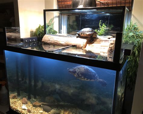 Gallon Aquarium Setup For Turtles