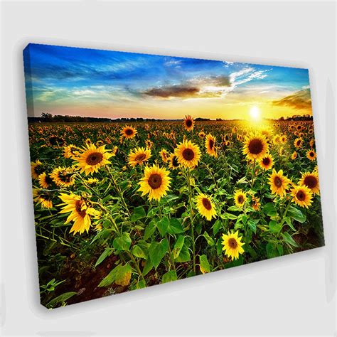 Sunflower Canvas Art Sunflower Painting Sunflower Wall Art Etsy