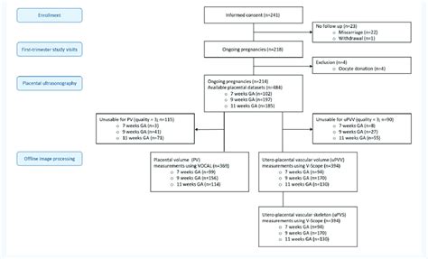 Flowchart Of Participant Selection Ga Gestational Age Download Scientific Diagram