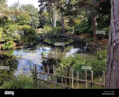 Japanese Garden At Tatton Park Stock Photo Alamy