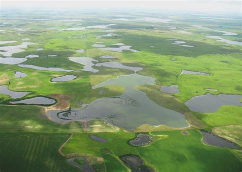 The Power Of Wetlands Saving Earth Encyclopedia Britannica