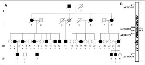 A Novel Titin Mutation in Adult-Onset Familial Dilated Cardiomyopathy ...