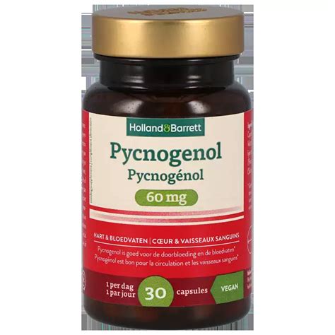 Holland Barrett Pycnogenol 60mg Voor Bloedvaten