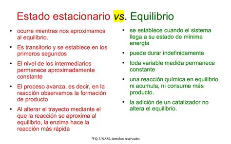 Comparaci N Entre Estado Estacionario Y Equilibrio