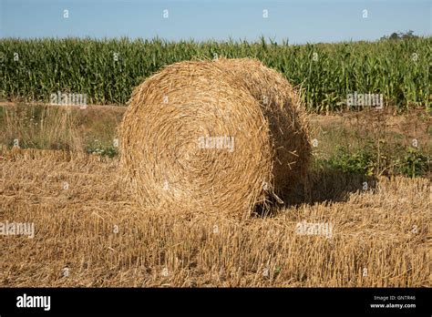 Rundballen Ballen Fotos Und Bildmaterial In Hoher Aufl Sung Alamy