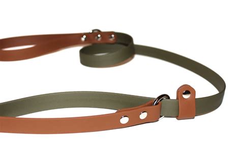 Add On A Traffic Handle Vgan Dog