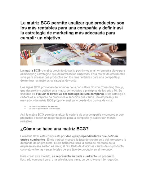 BCG - bcg - La matriz BCG permite analizar qué productos son los más